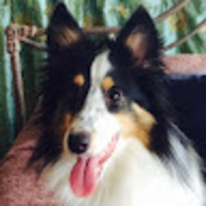 Meet your Posher, Luke